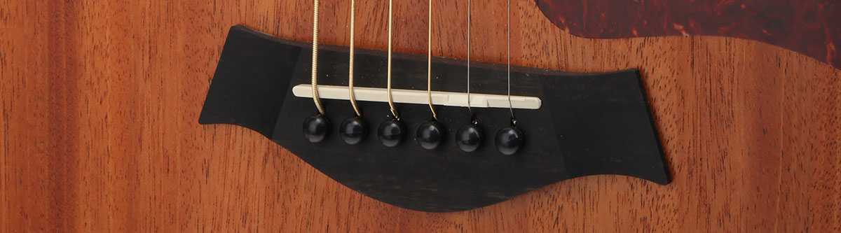 Bridge Pins bei einer Taylor Gitarre