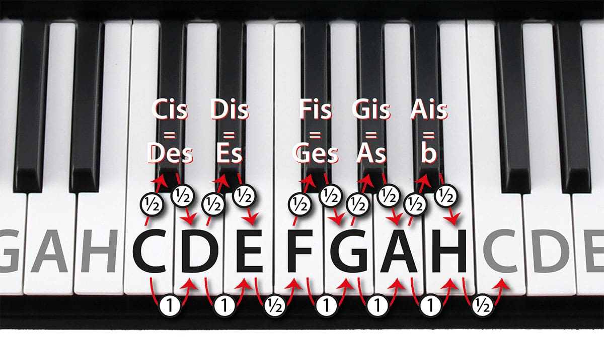 Ganze und halbe Töne auf einer Keyboardtastatur